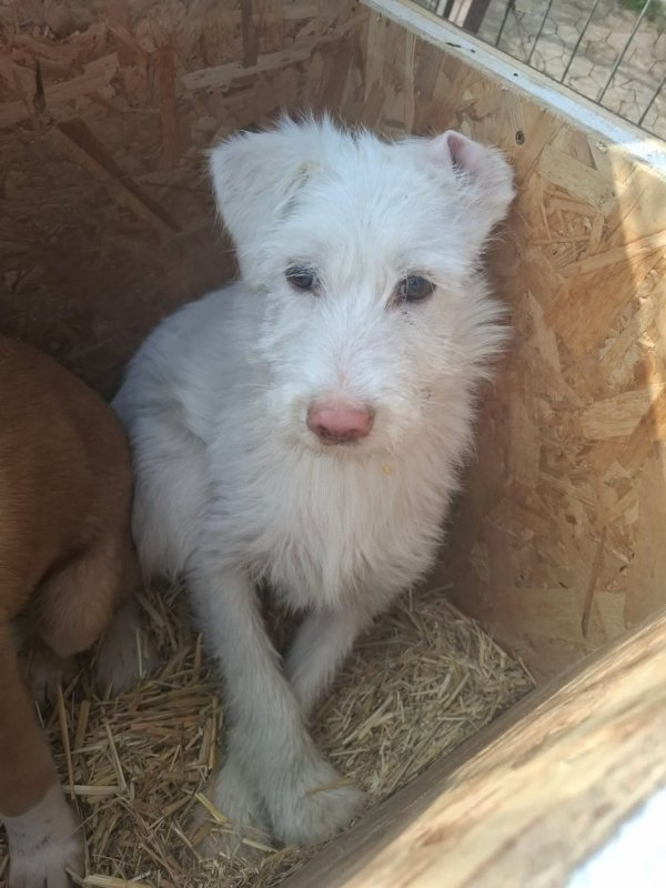 WhatsApp Image 2026 03 15 at 10.03.43 (2)