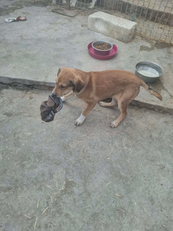 WhatsApp Image 2026 03 15 at 10.03.44 (1)