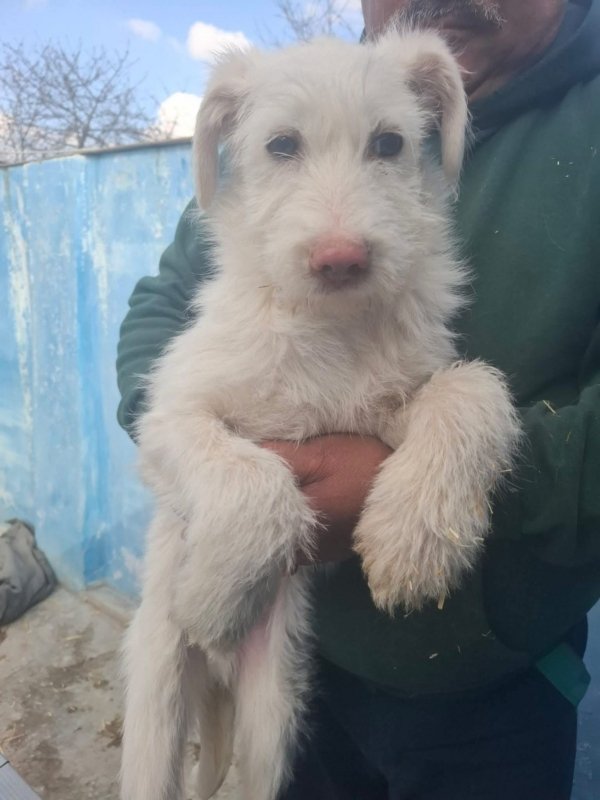 WhatsApp Image 2026 03 15 at 10.03.44 (1)