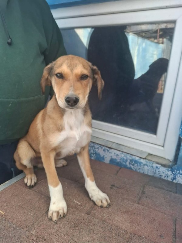 WhatsApp Image 2026 03 15 at 10.03.44 (2)