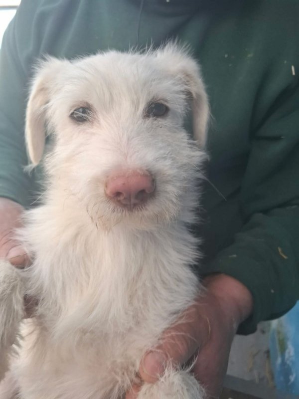 WhatsApp Image 2026 03 15 at 10.03.44 (2)