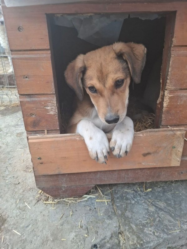 WhatsApp Image 2026 03 15 at 10.03.44