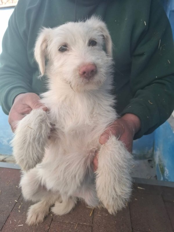 WhatsApp Image 2026 03 15 at 10.03.44