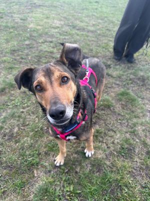 WhatsApp Image 2026 03 21 at 16.02.19 (4)