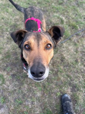 WhatsApp Image 2026 03 21 at 16.02.19 (6)