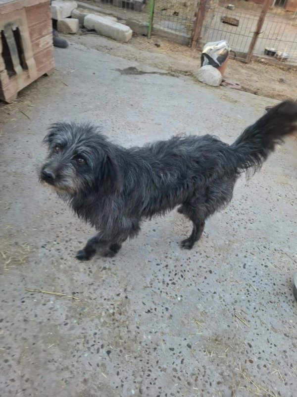 WhatsApp Image 2026 03 23 at 19.03.01 (1)