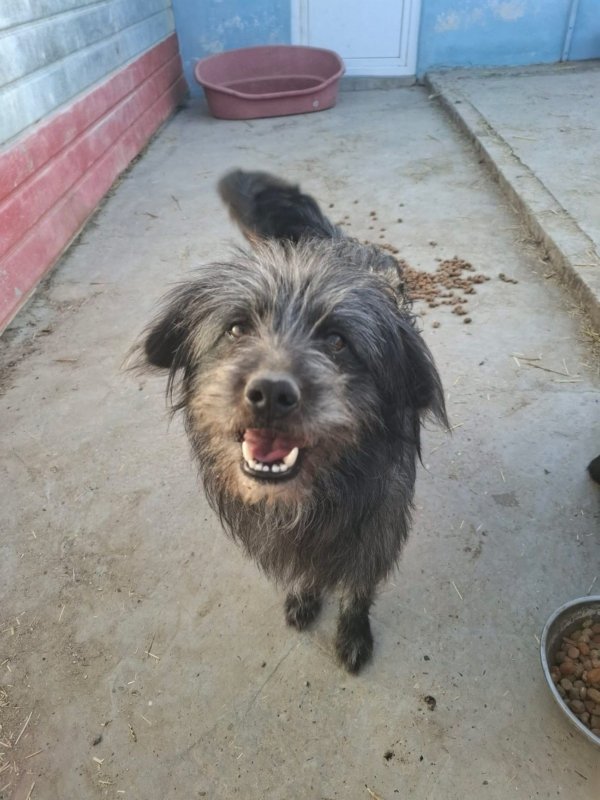 WhatsApp Image 2026 03 23 at 19.03.01 (2)