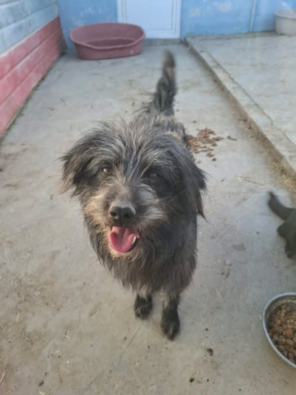 WhatsApp Image 2026 03 23 at 19.03.01 (3)