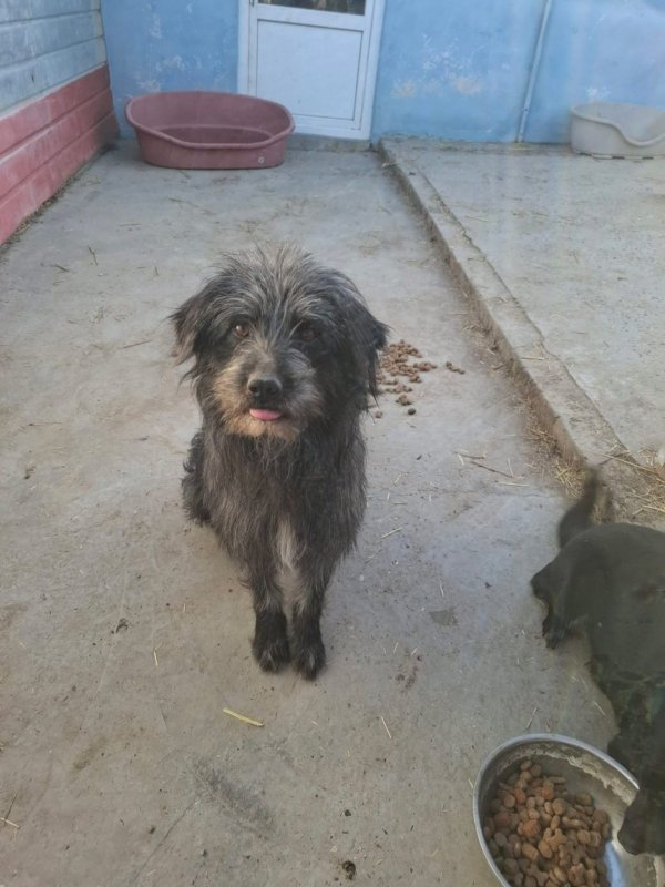 WhatsApp Image 2026 03 23 at 19.03.01 (4)