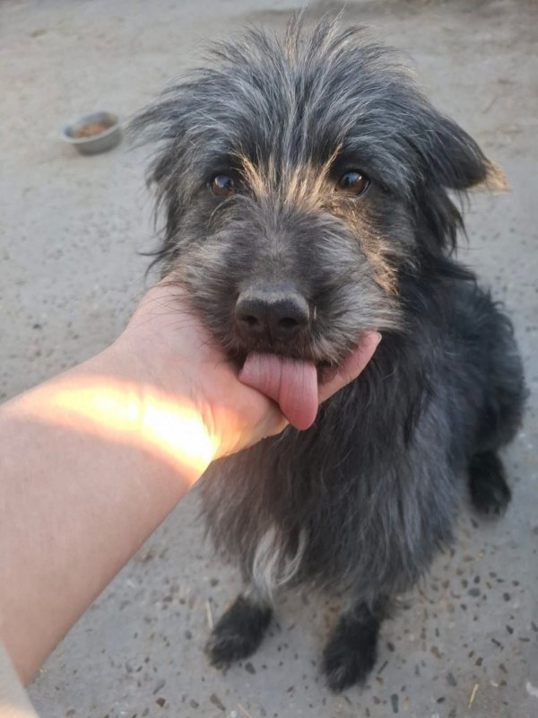 WhatsApp Image 2026 03 23 at 19.03.01