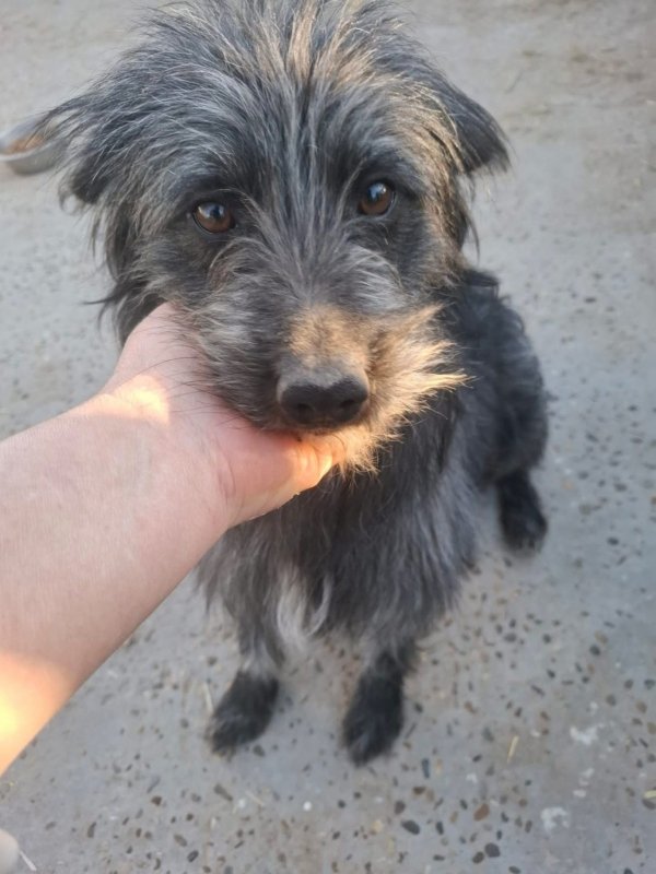 WhatsApp Image 2026 03 23 at 19.03.02