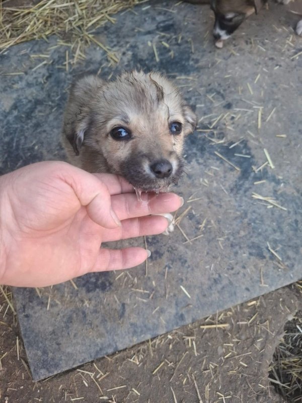 WhatsApp Image 2026 03 24 at 15.31.34