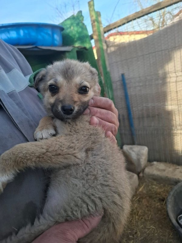 WhatsApp Image 2026 03 24 at 15.31.35 (1)