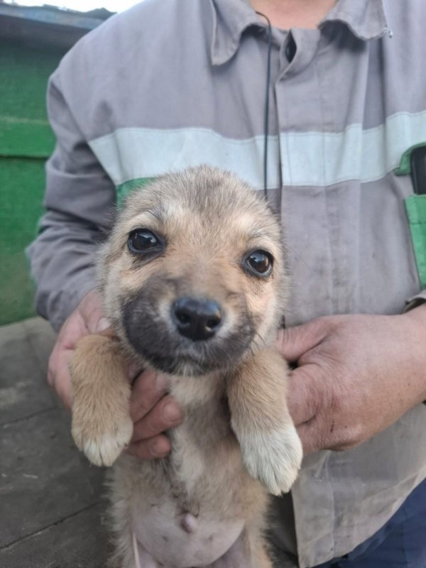 WhatsApp Image 2026 03 24 at 15.31.35 (2)