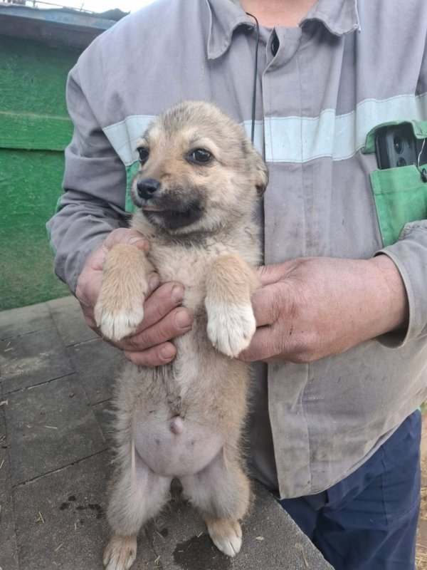 WhatsApp Image 2026 03 24 at 15.31.35 (3)