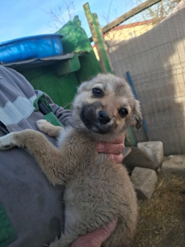 WhatsApp Image 2026 03 24 at 15.31.35