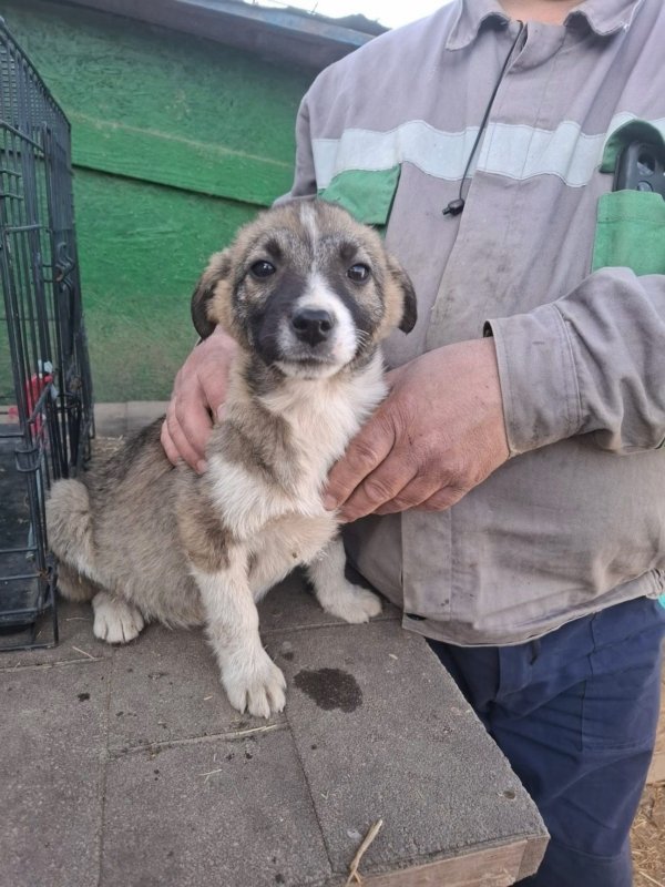 WhatsApp Image 2026 03 24 at 15.31.41 (1)