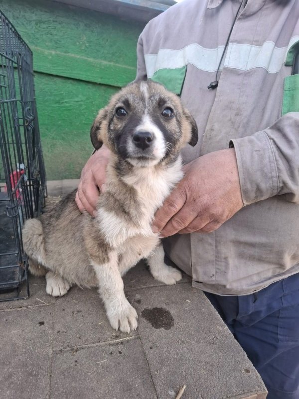 WhatsApp Image 2026 03 24 at 15.31.41 (2)