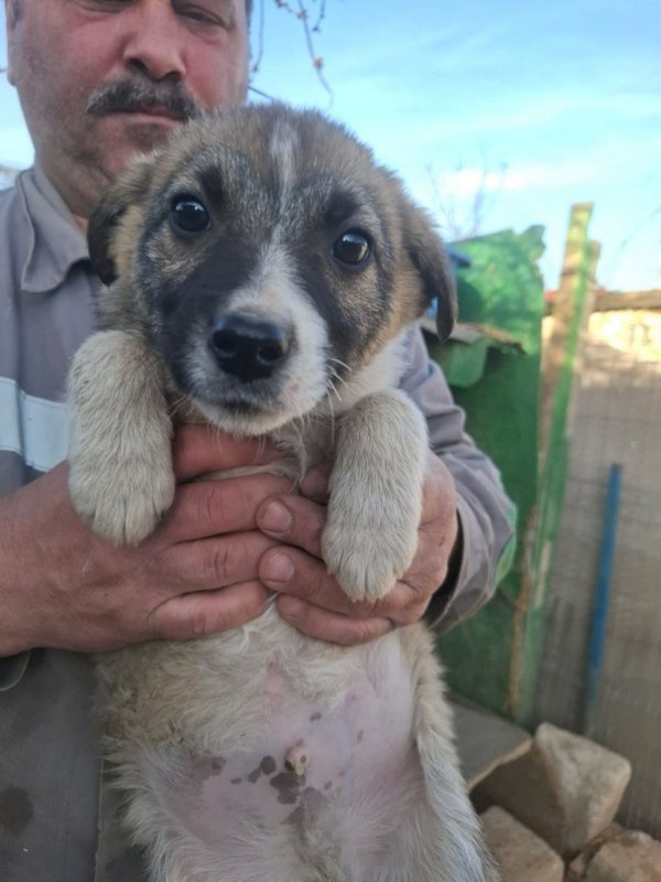 WhatsApp Image 2026 03 24 at 15.31.41