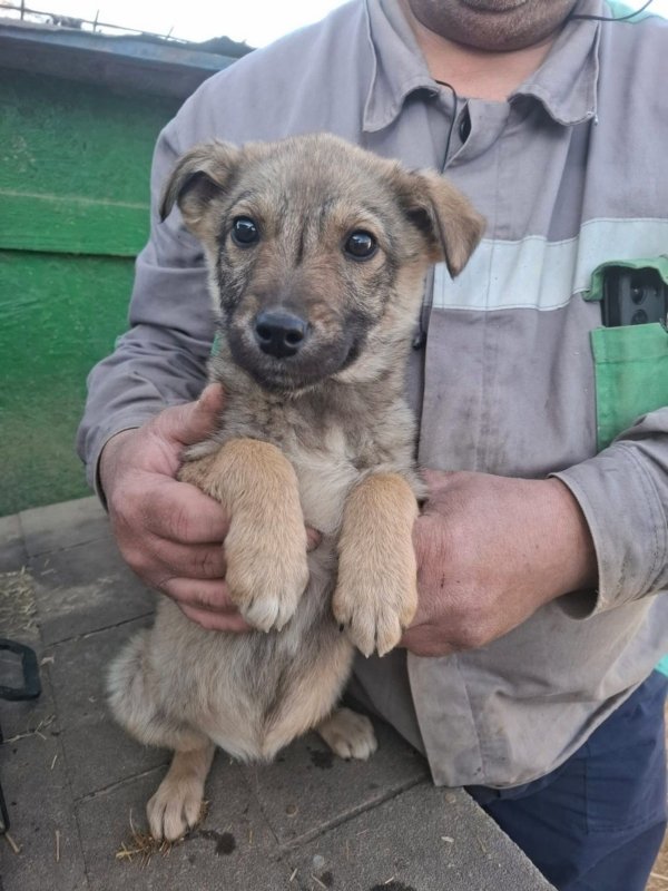 WhatsApp Image 2026 03 24 at 15.31.48 (1)