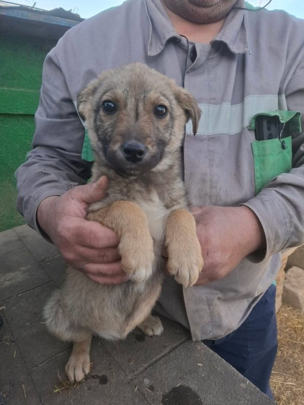 WhatsApp Image 2026 03 24 at 15.31.48 (2)