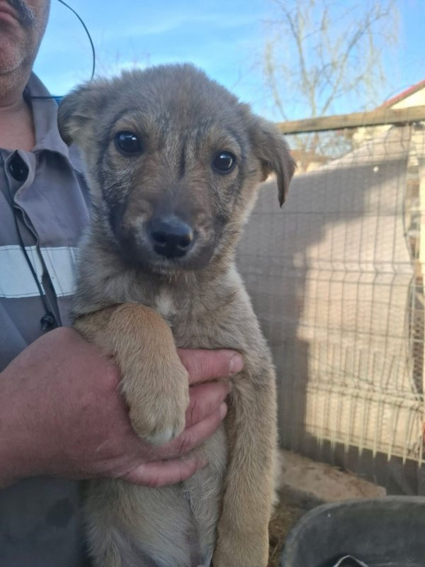 WhatsApp Image 2026 03 24 at 15.31.48