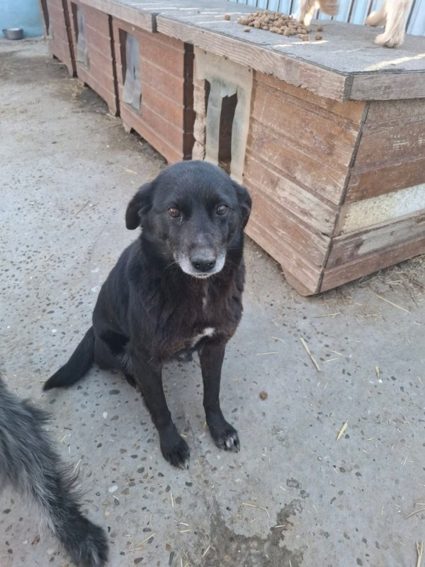 WhatsApp Image 2026 03 24 at 15.31.55