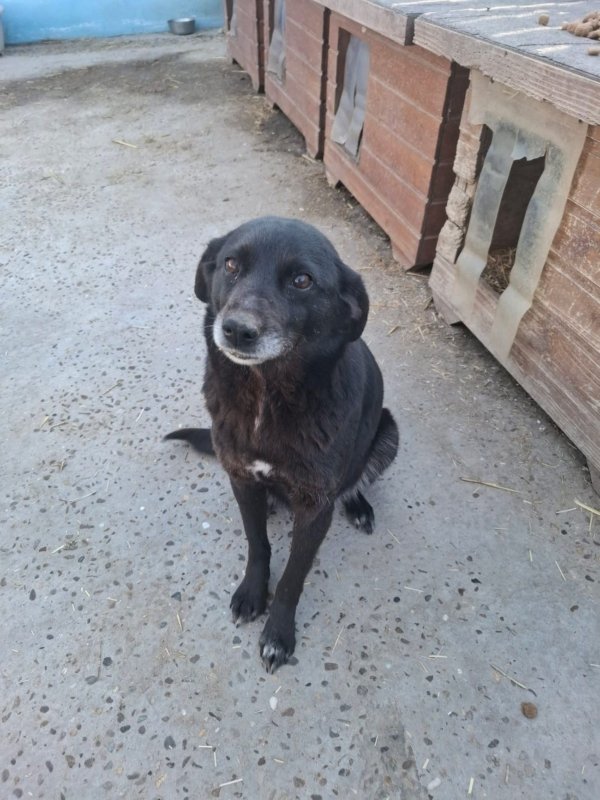 WhatsApp Image 2026 03 24 at 15.31.56 (1)