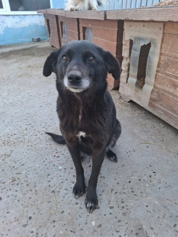 WhatsApp Image 2026 03 24 at 15.31.56 (2)