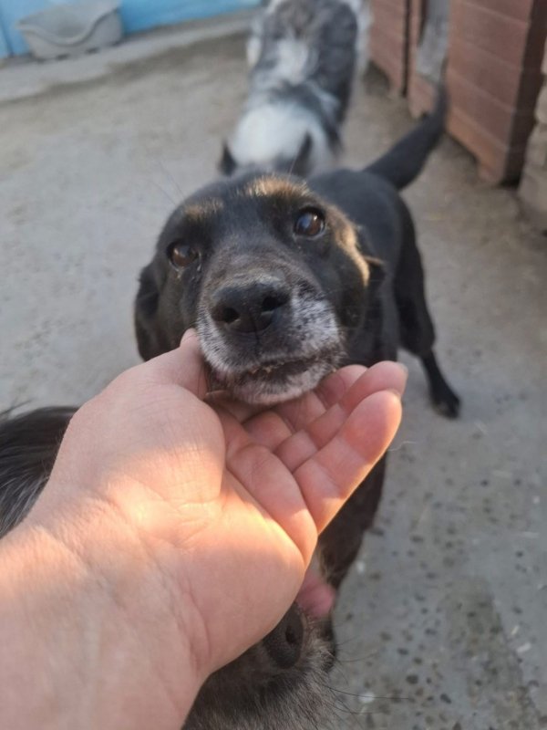 WhatsApp Image 2026 03 24 at 15.31.56 (3)