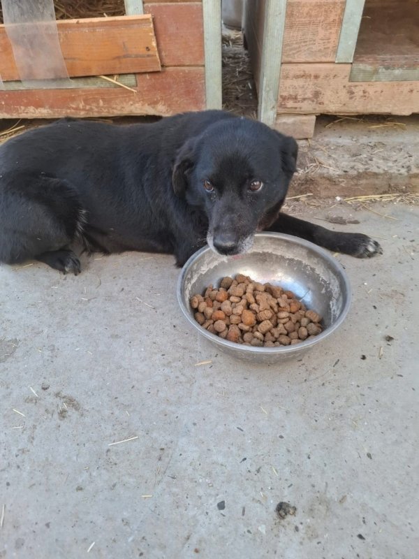 WhatsApp Image 2026 03 24 at 15.31.56 (4)