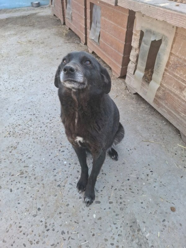 WhatsApp Image 2026 03 24 at 15.31.56