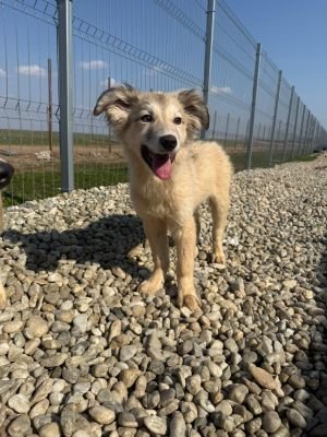 WhatsApp Image 2026 03 25 at 13.36.11 (1)