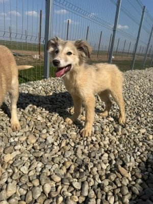 WhatsApp Image 2026 03 25 at 13.36.11