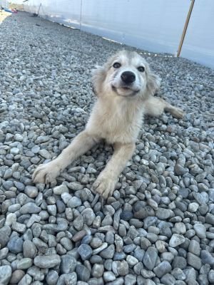 WhatsApp Image 2026 03 25 at 13.36.12 (2)