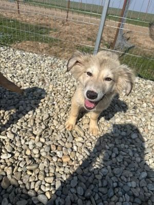 WhatsApp Image 2026 03 25 at 13.36.13 (2)