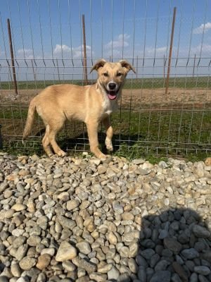 WhatsApp Image 2026 03 25 at 13.38.04