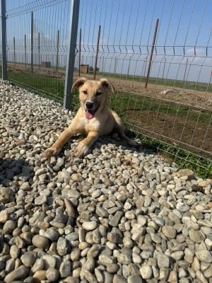 WhatsApp Image 2026 03 25 at 13.38.05 (2)