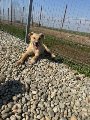 WhatsApp Image 2026 03 25 at 13.38.06