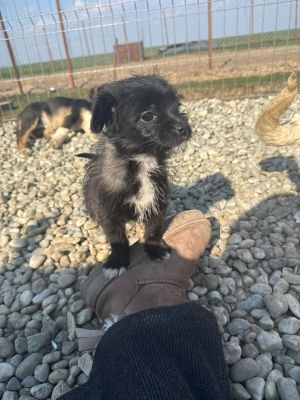 WhatsApp Image 2026 03 25 at 14.05.48