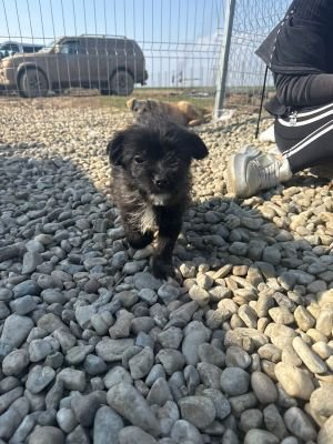 WhatsApp Image 2026 03 25 at 14.05.49 (1)