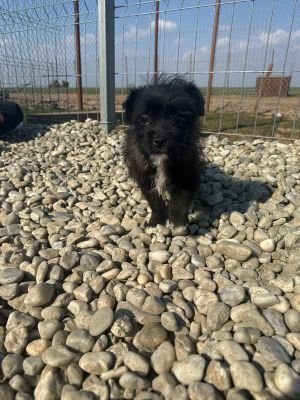 WhatsApp Image 2026 03 25 at 14.05.49 (2)