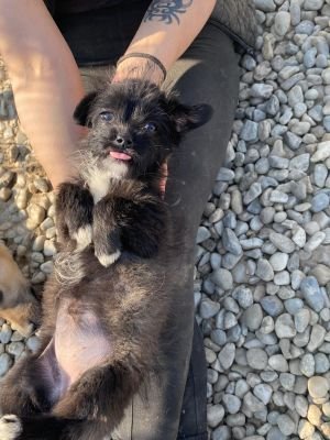 WhatsApp Image 2026 03 25 at 14.06.09