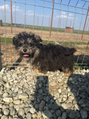 WhatsApp Image 2026 03 25 at 14.09.13 (1)