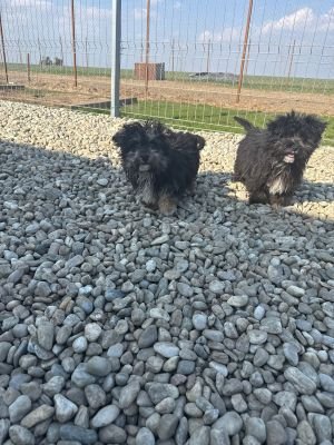 WhatsApp Image 2026 03 25 at 14.09.14 (1)