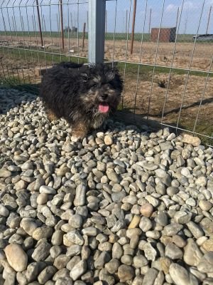 WhatsApp Image 2026 03 25 at 14.09.14