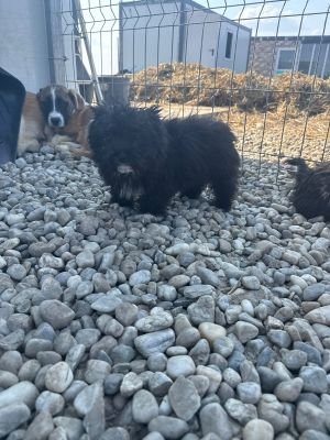 WhatsApp Image 2026 03 25 at 14.12.28 (2)