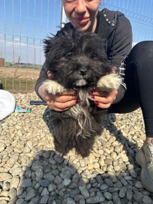 WhatsApp Image 2026 03 25 at 14.12.28