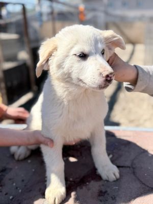 WhatsApp Image 2026 04 06 at 10.47.10