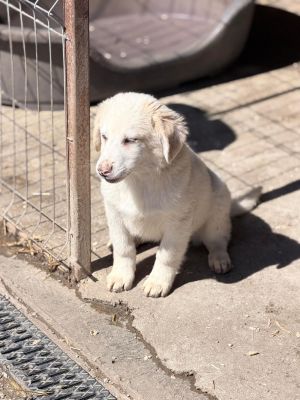 WhatsApp Image 2026 04 06 at 10.47.25